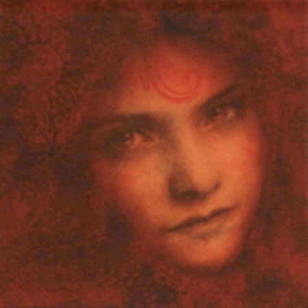 De loin 20 x20cm Technique mixte sur plexiglass
